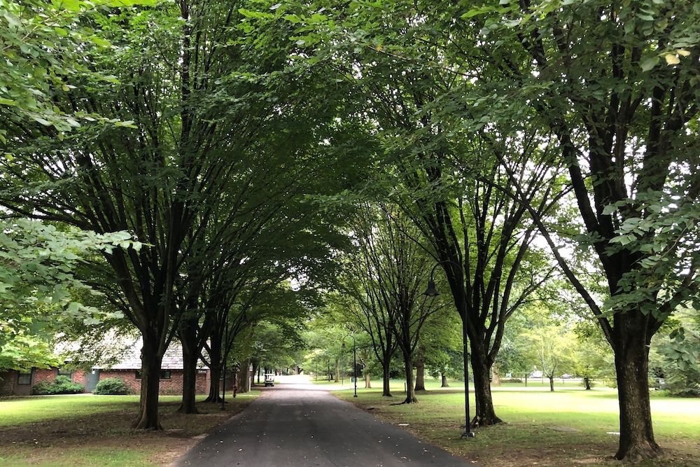 The Gossip Column: August 1, 2025